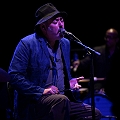 Interview de Stuart Staples des Tindersticks à propos de l'album Soft Tissue en concert