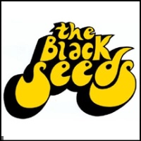 The Black Seeds en concert