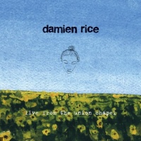 Damien Rice en concert