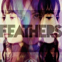 Feathers en concert