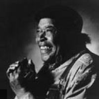 James Cotton en concert