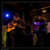 Les Cordes Timbrées en concert