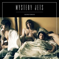 Mystery Jets en concert