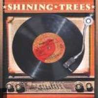 Shining Trees en concert