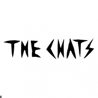 The Chats en concert