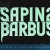 Festival Sapins Barbus en concert