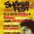 Shaker Fest en concert