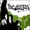 The Durgas en concert