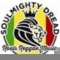 Soulmighty Dread en concert