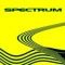 Spectrum (Ex Spacemen 3) en concert