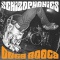 The Schizophonics en concert